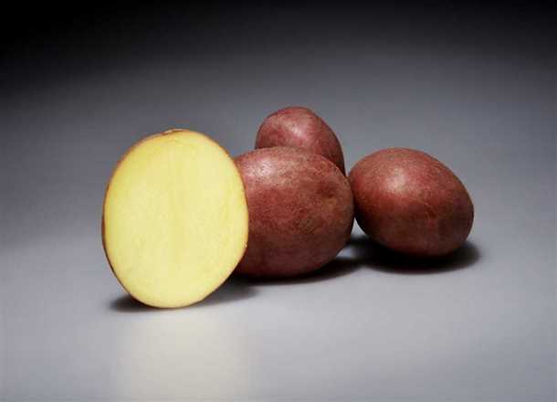 Правила посадки