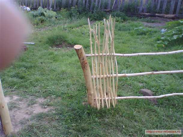 2. Крепость и гибкость веток