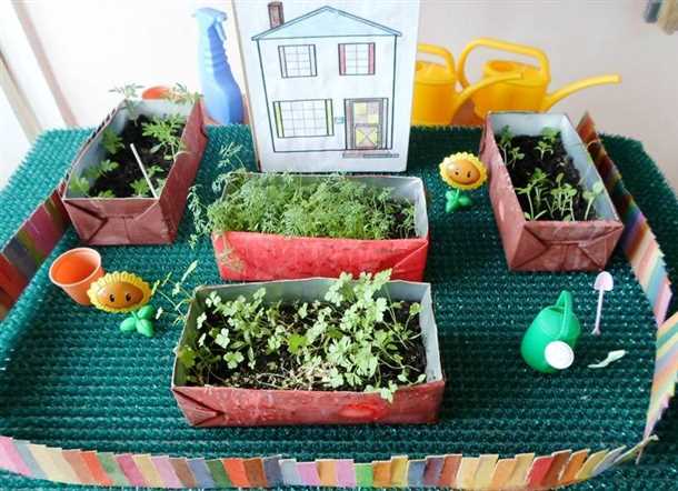 Выбор растений