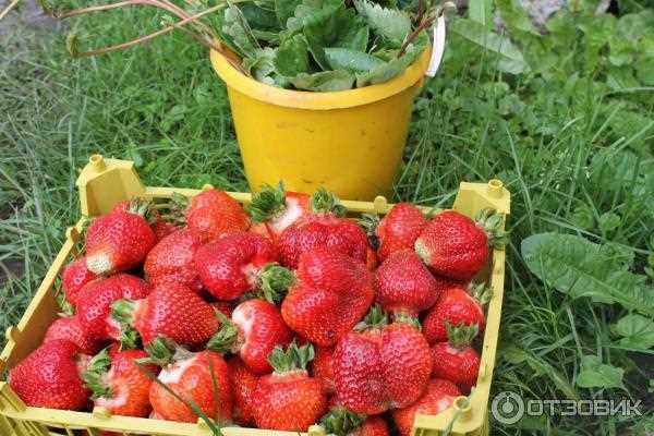 3. Солнечная сторона