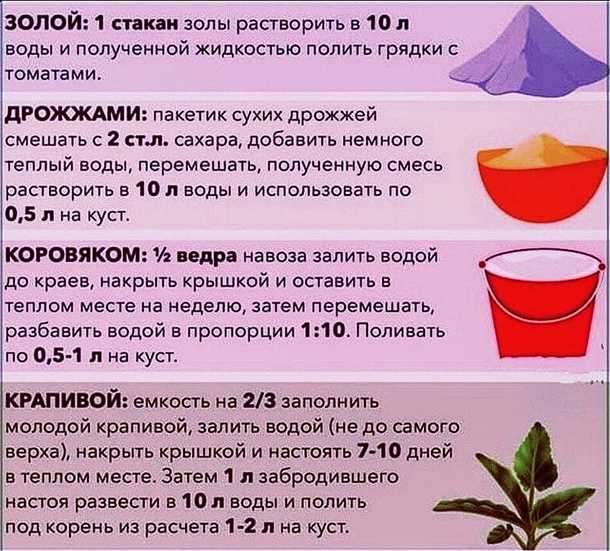 1. Перец и чеснок